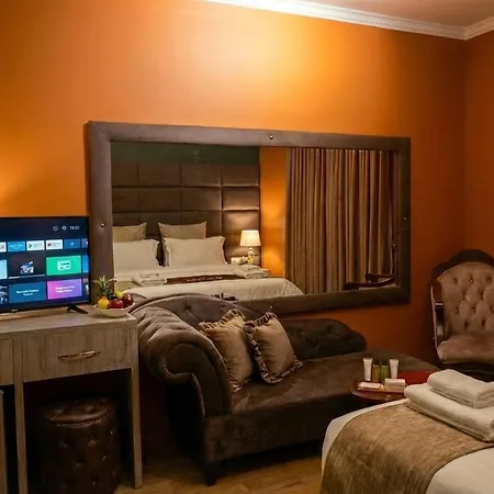 Hotel Artist